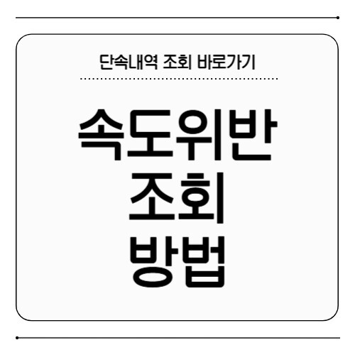 속도위반 조회